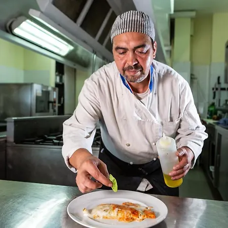 酒店 杜塞尔多夫酒店 里米尼